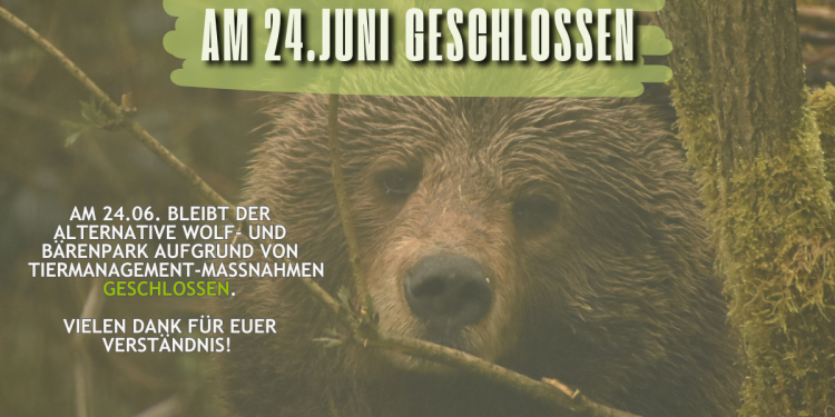 Weiterlesen ...