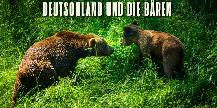 Weiterlesen ...