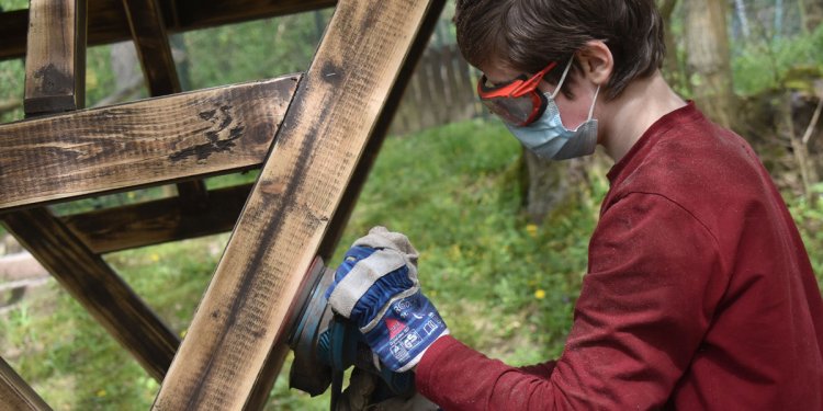 Praktikum im Tierschutz - jetzt bewerben! 